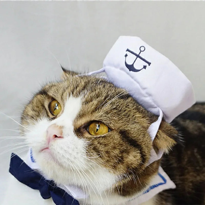Sailor Costume for Dogs or Cats - White and Blue Navy