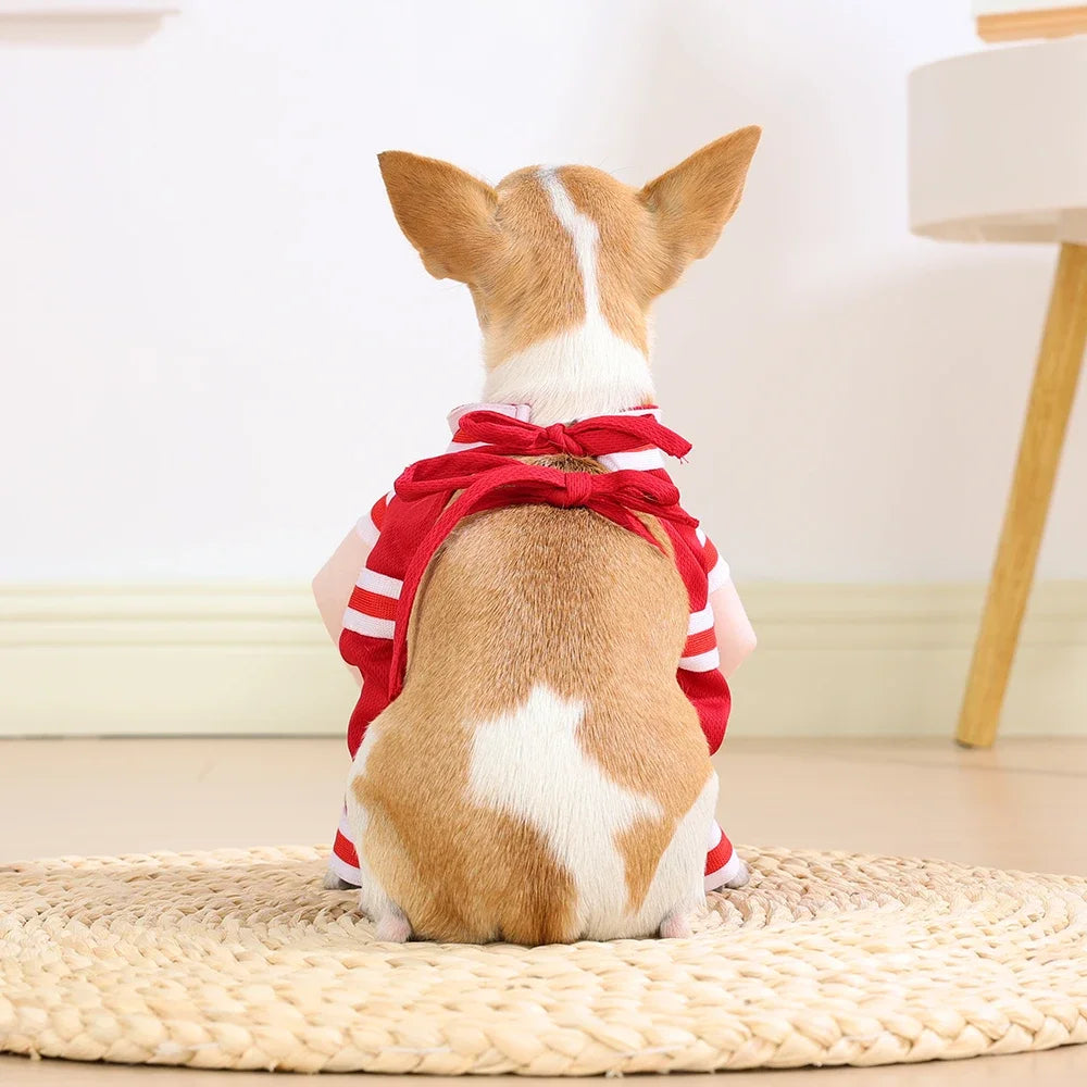 Basketball Star Halloween Costume for Dog or Cat