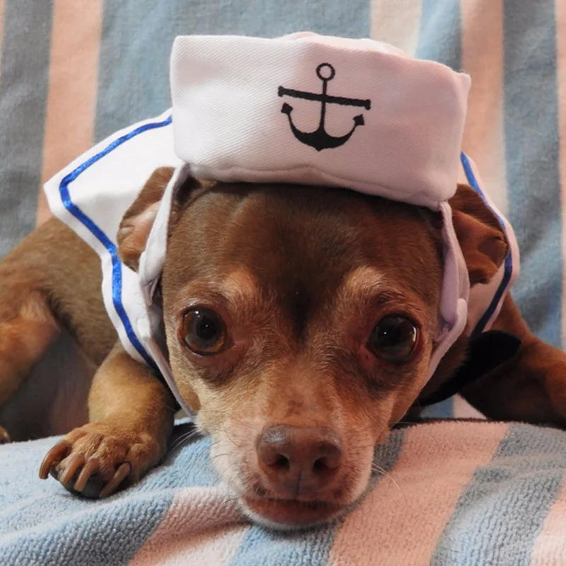 Sailor Costume for Dogs or Cats - White and Blue Navy