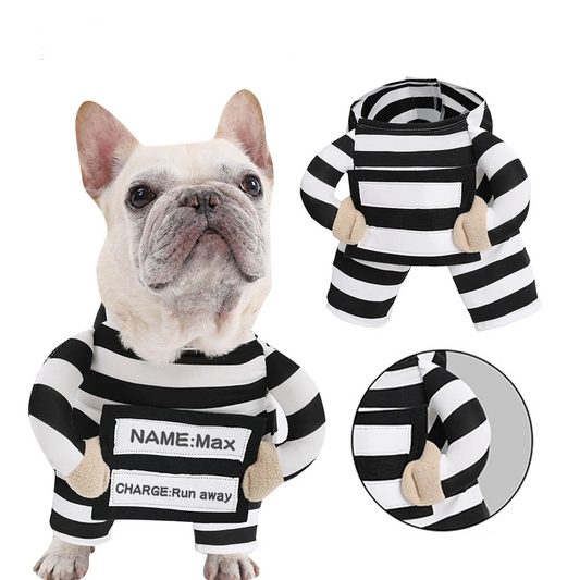 Striped Prisoner Costume for Dog or Cat - Personalizable ID Tag