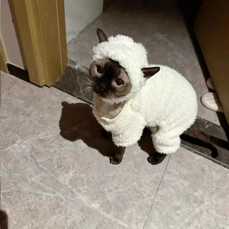 Lamb Costume for Cat or Dog - Halloween Costume