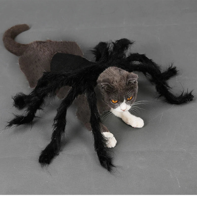 Spider Halloween Costume for Dog or Cat - Furry Black Spider