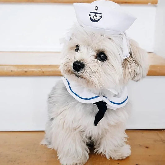 Sailor Costume for Dogs or Cats - White and Blue Navy