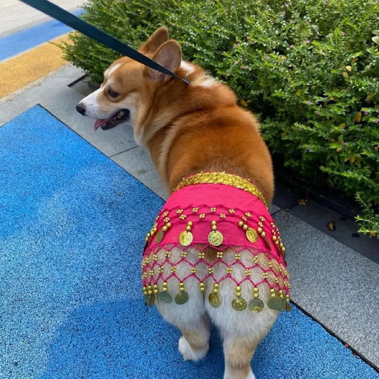 Belly Dancing Costume for Dogs and Cats - Sequined Waist Chain/Scarf