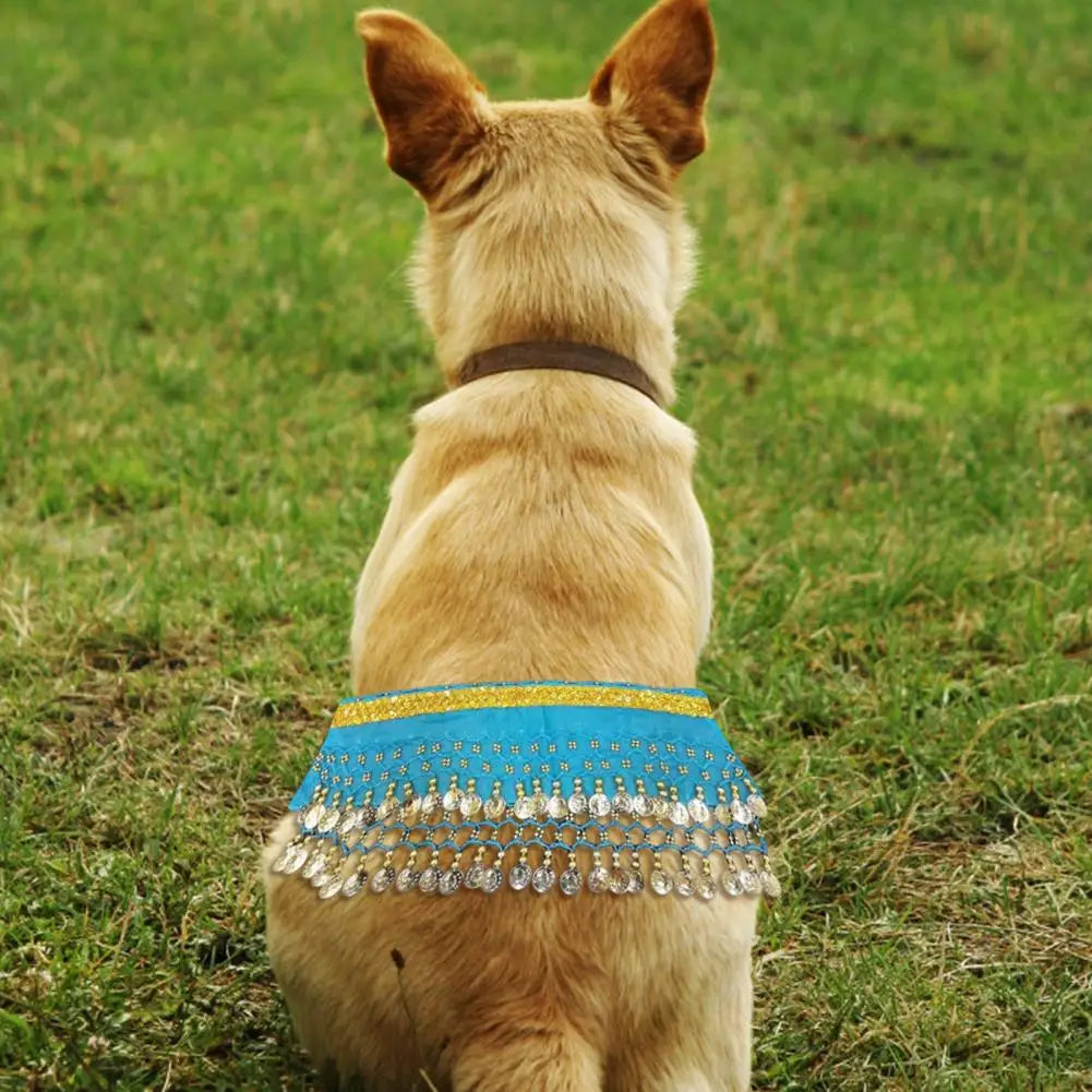 Belly Dancing Costume for Dogs and Cats - Sequined Waist Chain/Scarf