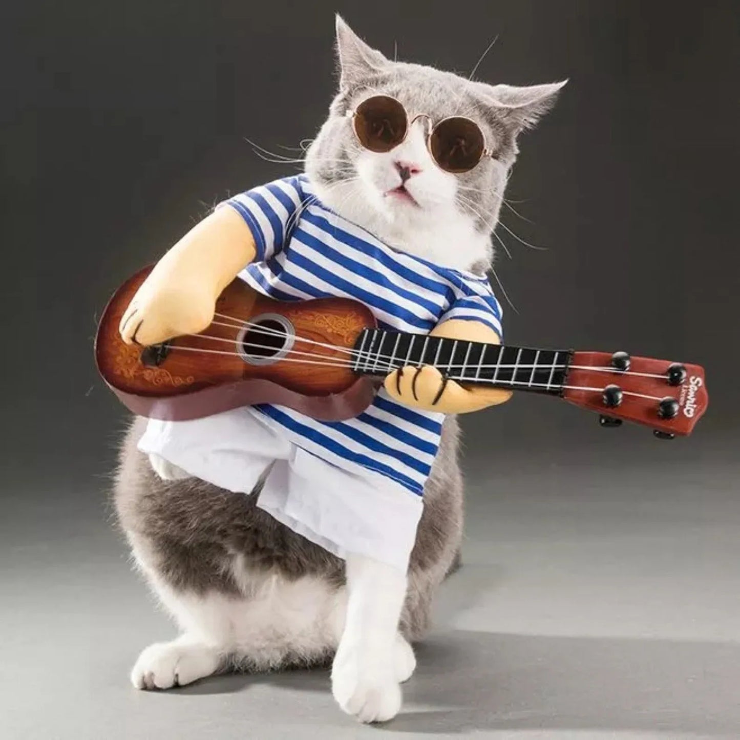 Rockstar Guitar Playing Halloween Costume for Dog or Cat