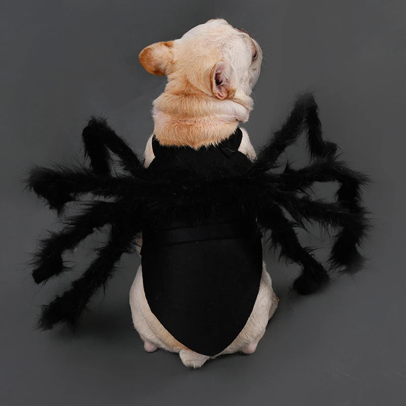 Spider Halloween Costume for Dog or Cat - Furry Black Spider