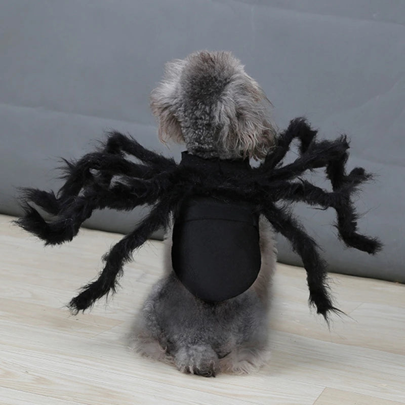 Spider Halloween Costume for Dog or Cat - Furry Black Spider