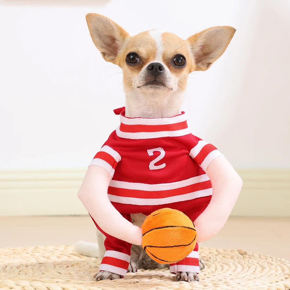 Basketball Star Halloween Costume for Dog or Cat