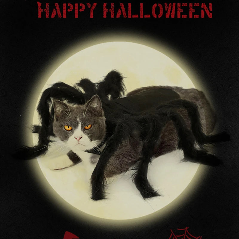Spider Halloween Costume for Dog or Cat - Furry Black Spider