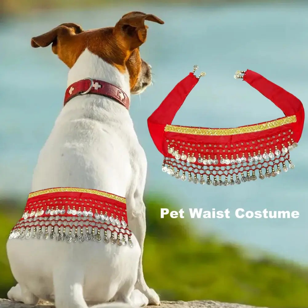 Belly Dancing Costume for Dogs and Cats - Sequined Waist Chain/Scarf