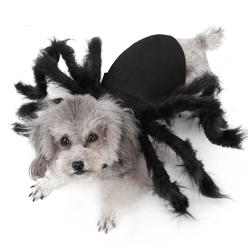 Spider Halloween Costume for Dog or Cat - Furry Black Spider