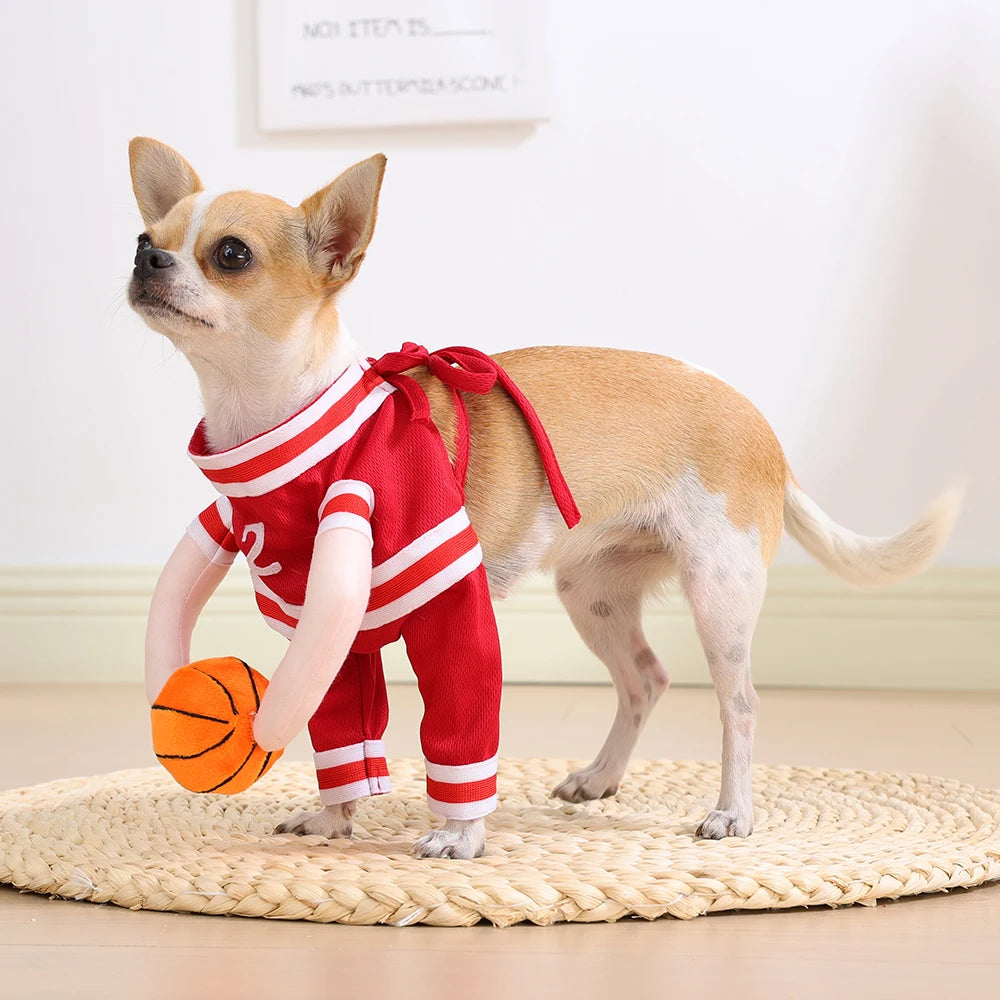 Basketball Star Halloween Costume for Dog or Cat