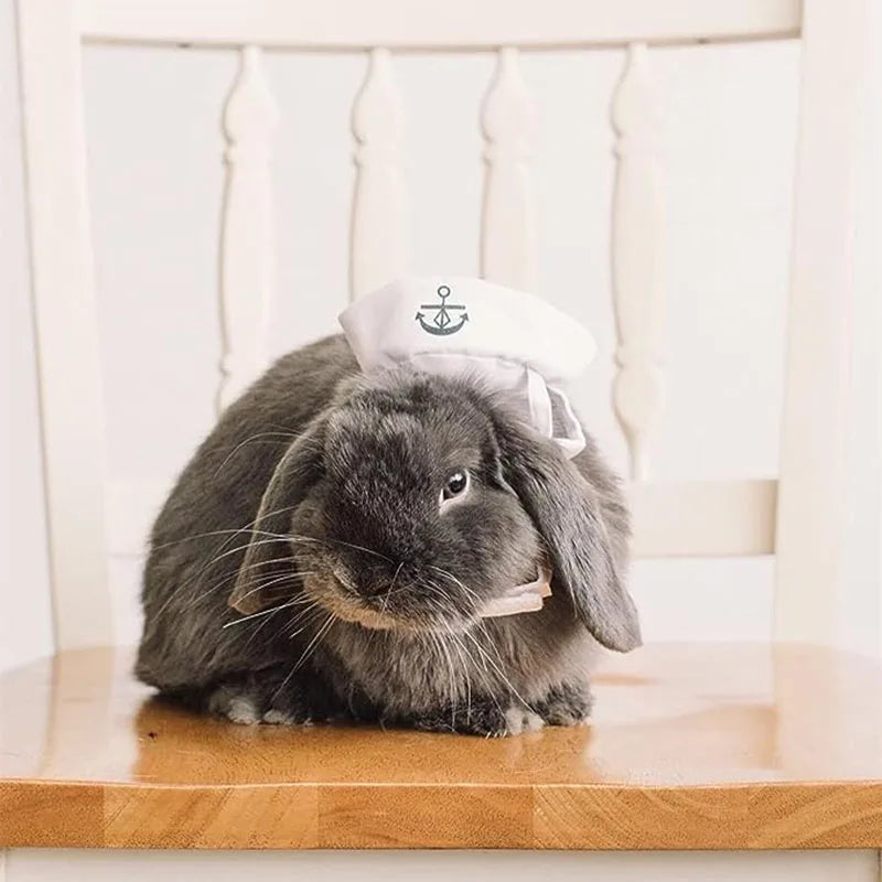 Sailor Costume for Dogs or Cats - White and Blue Navy