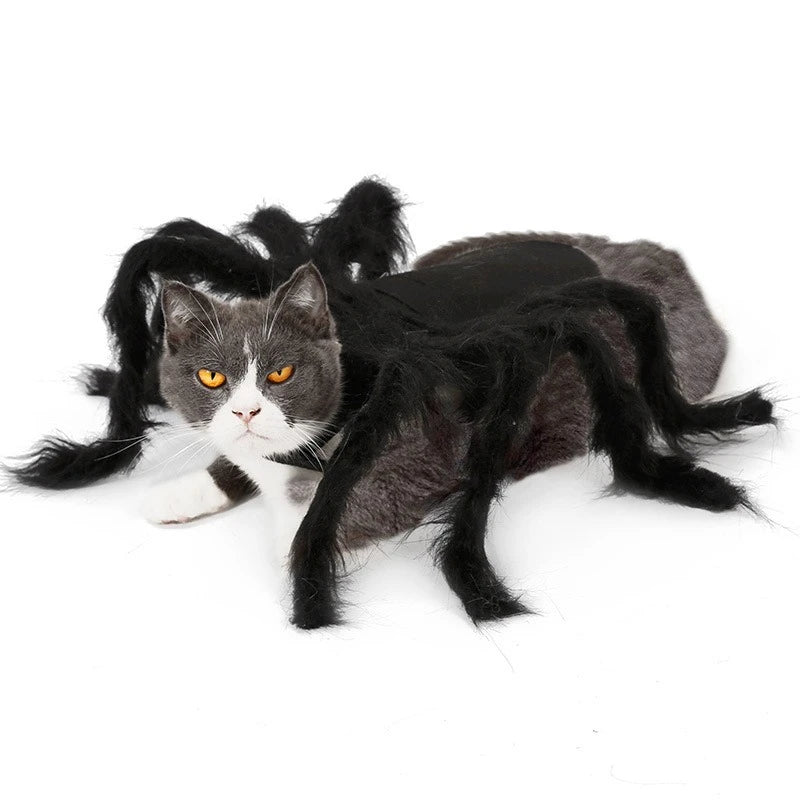 Spider Halloween Costume for Dog or Cat - Furry Black Spider