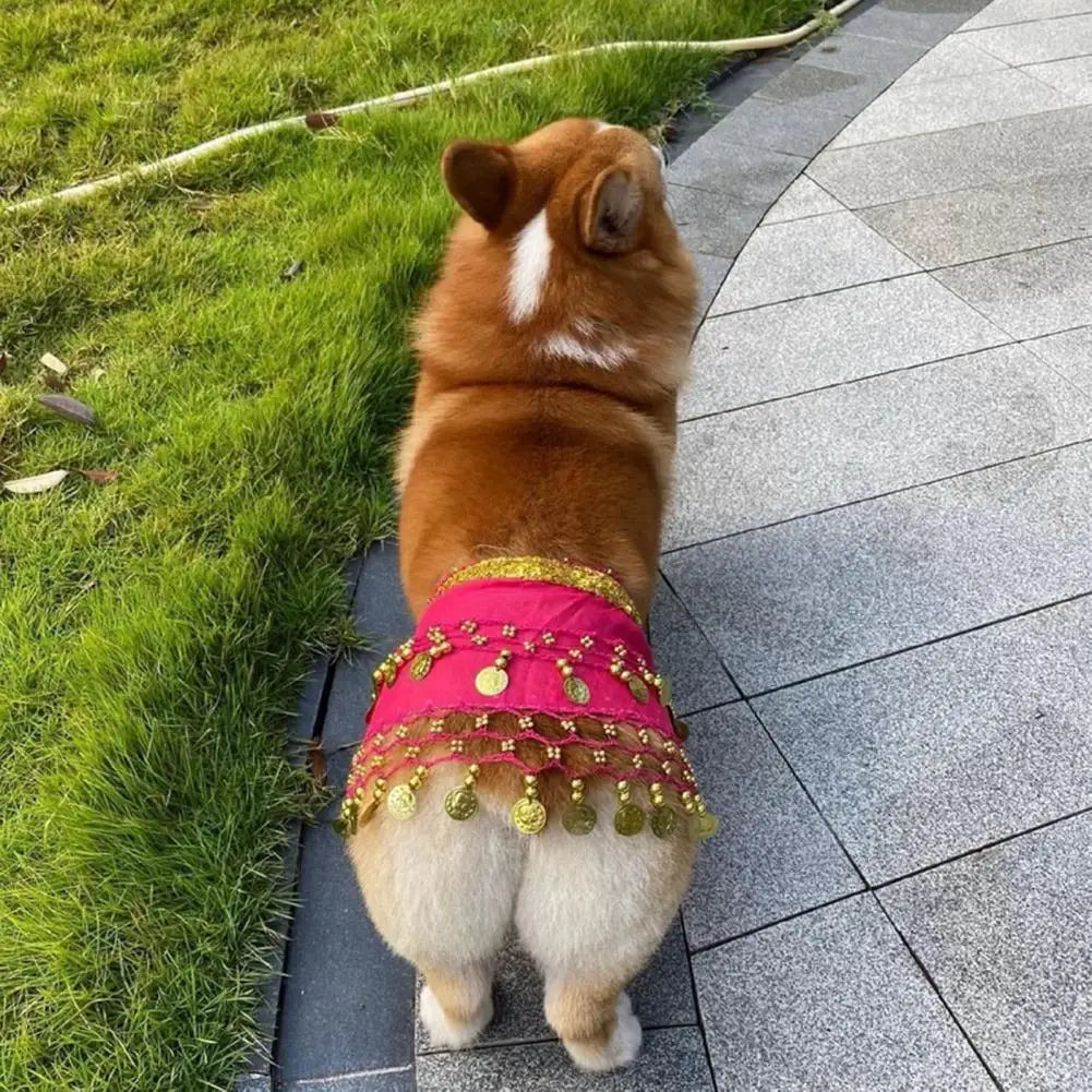 Belly Dancing Costume for Dogs and Cats - Sequined Waist Chain/Scarf