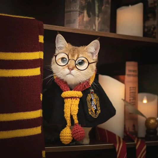 Harry Potter Style Costume for Dogs or Cats - Embroidered Cloak, Glasses, and Tie