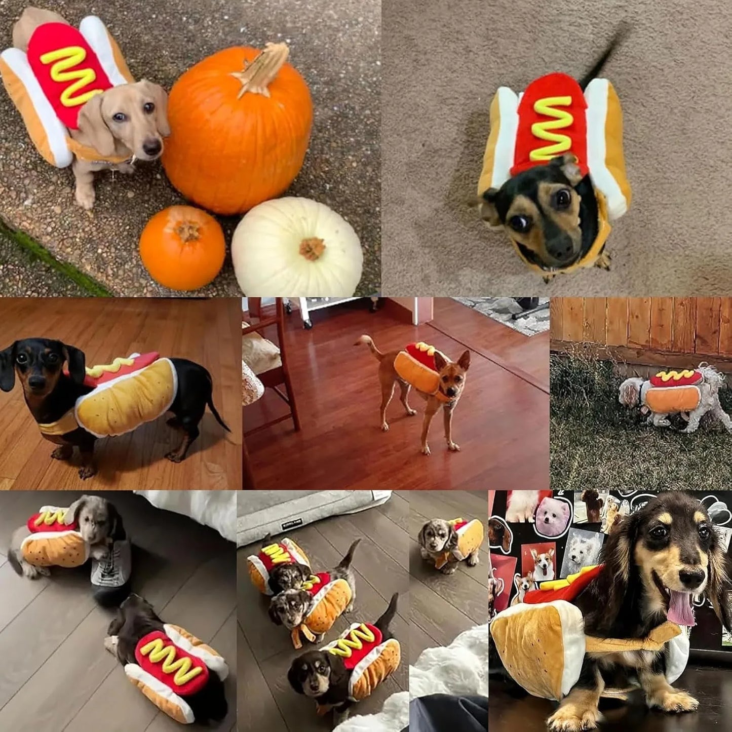 Hot Dog Halloween Costume for Dog or Cat