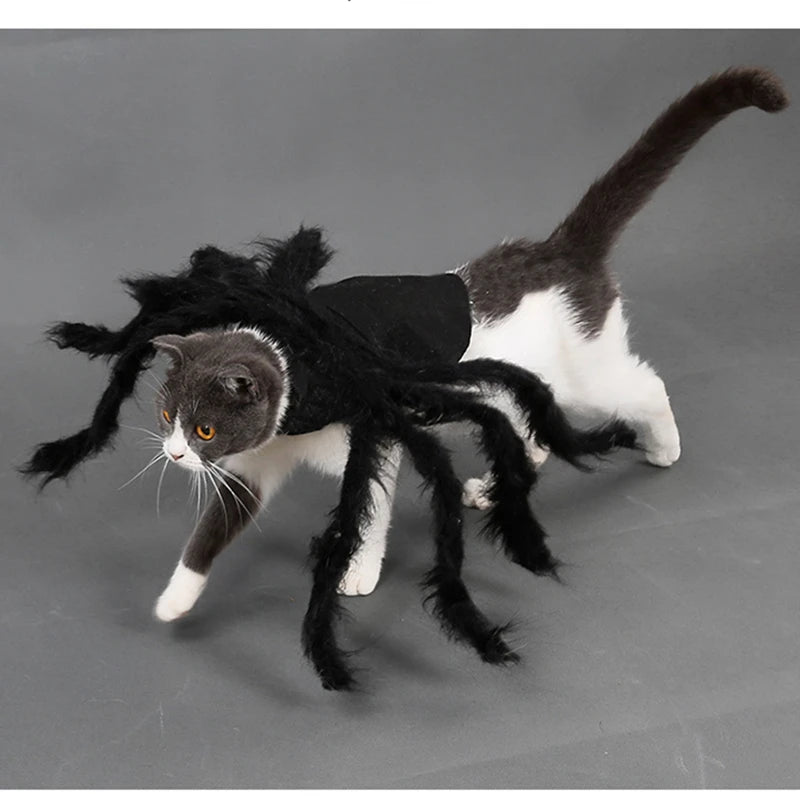 Spider Halloween Costume for Dog or Cat - Furry Black Spider