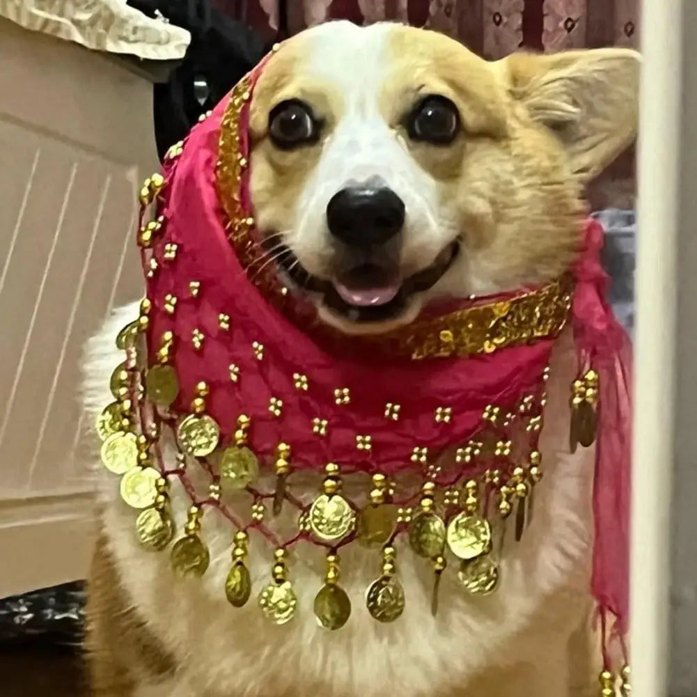 Belly Dancing Costume for Dogs and Cats - Sequined Waist Chain/Scarf