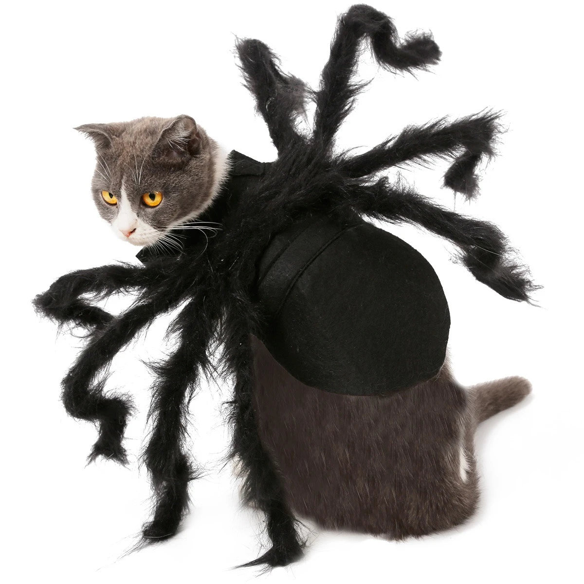 Spider Halloween Costume for Dog or Cat - Furry Black Spider